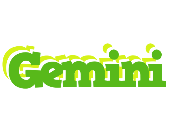 Gemini picnic logo