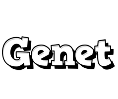 Genet snowing logo