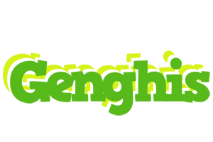 Genghis picnic logo