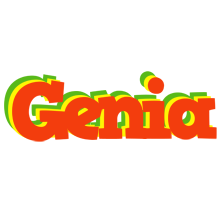 Genia bbq logo