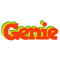 Genie bbq logo