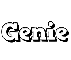 Genie snowing logo