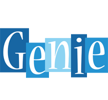 Genie winter logo