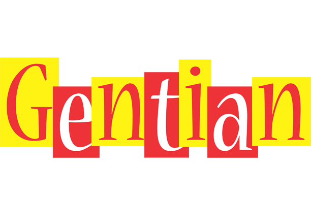 Gentian errors logo