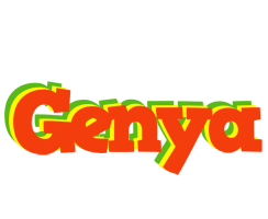 Genya bbq logo