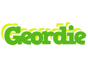 Geordie picnic logo