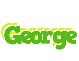 George picnic logo