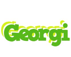Georgi picnic logo