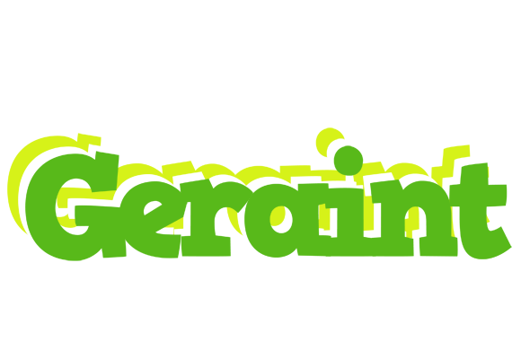 Geraint picnic logo