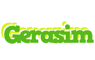 Gerasim picnic logo
