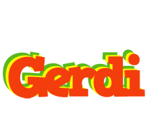 Gerdi bbq logo
