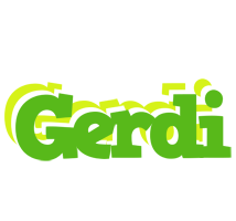 Gerdi picnic logo
