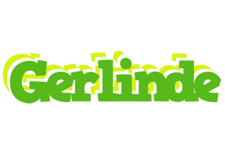 Gerlinde picnic logo