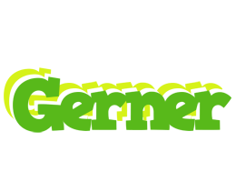 Gerner picnic logo