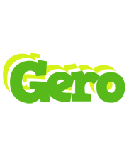 Gero picnic logo