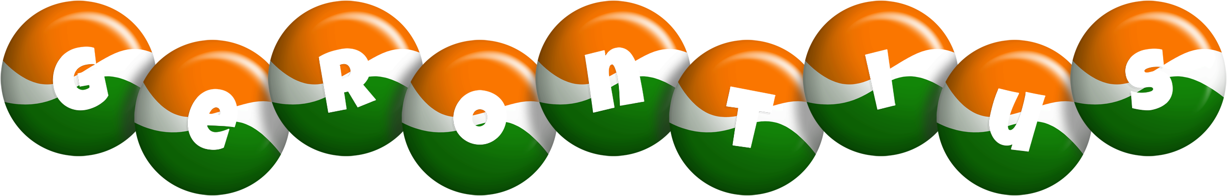 Gerontius india logo