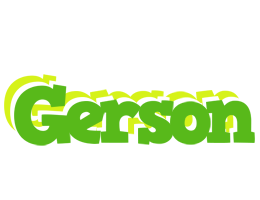Gerson picnic logo