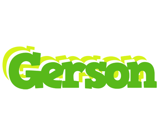 Gerson picnic logo