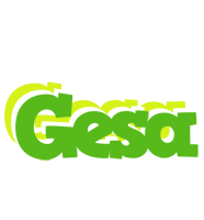 Gesa picnic logo