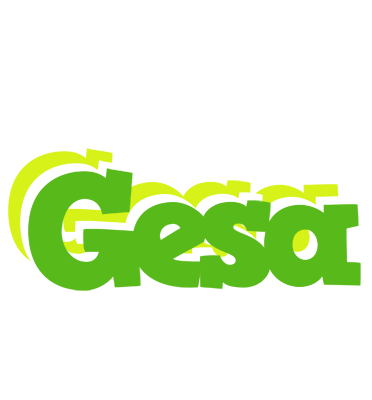 Gesa picnic logo