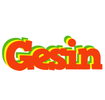 Gesin bbq logo
