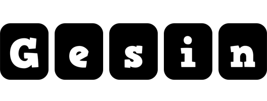 Gesin box logo