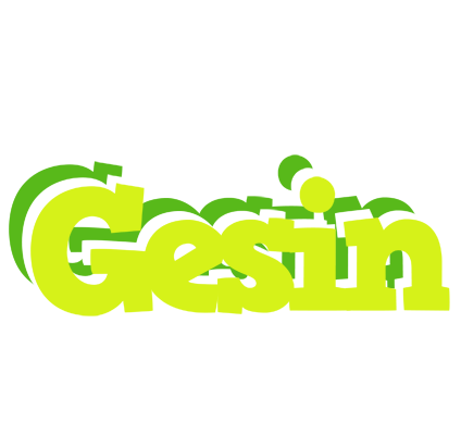 Gesin citrus logo