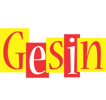 Gesin errors logo