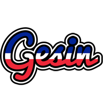 Gesin france logo