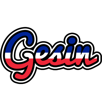 Gesin france logo