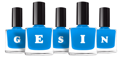 Gesin glossy logo