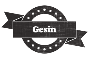 Gesin grunge logo