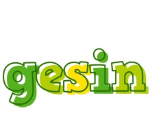 Gesin juice logo