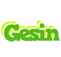 Gesin picnic logo