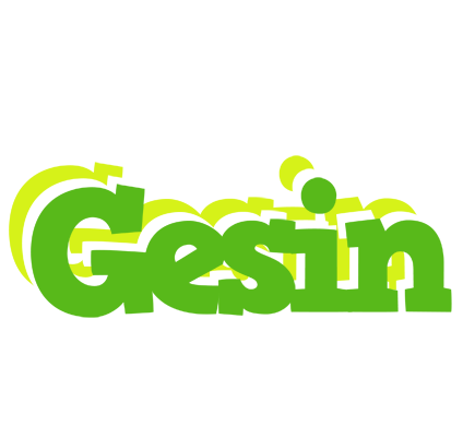 Gesin picnic logo