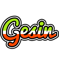 Gesin superfun logo
