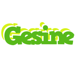 Gesine picnic logo