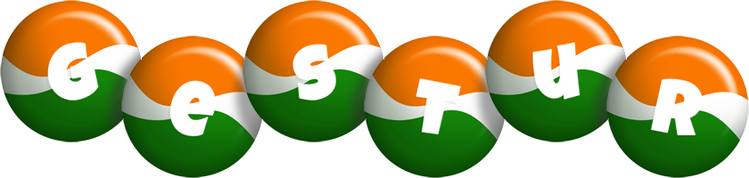 Gestur india logo