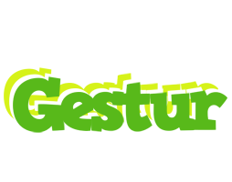 Gestur picnic logo