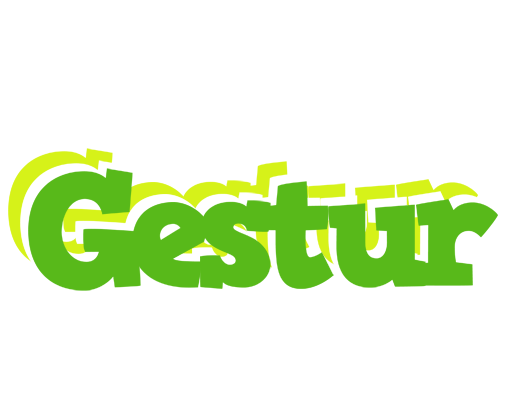 Gestur picnic logo