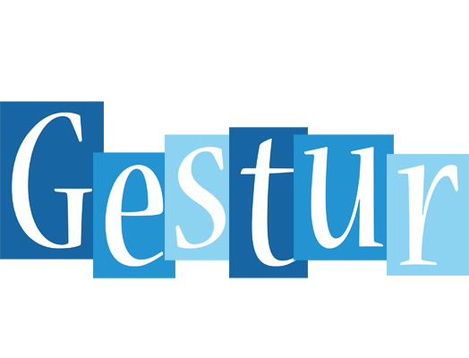 Gestur winter logo