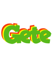 Gete crocodile logo