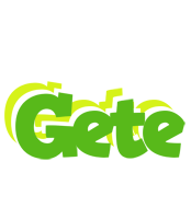 Gete picnic logo