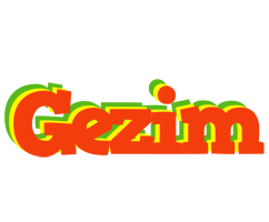 Gezim bbq logo