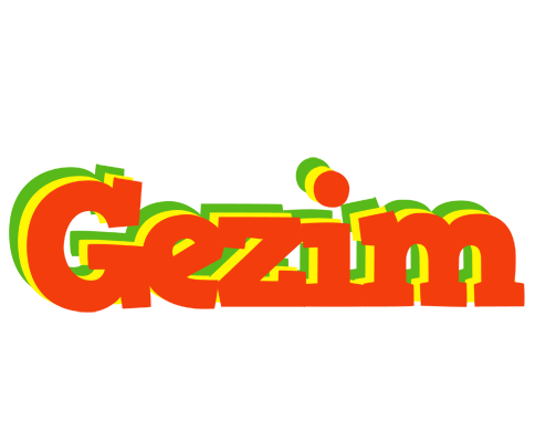 Gezim bbq logo