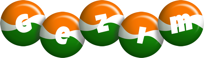 Gezim india logo