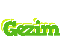 Gezim picnic logo