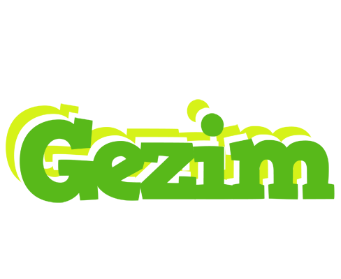 Gezim picnic logo