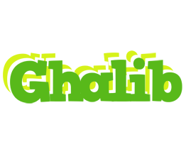 Ghalib picnic logo