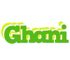 Ghani picnic logo